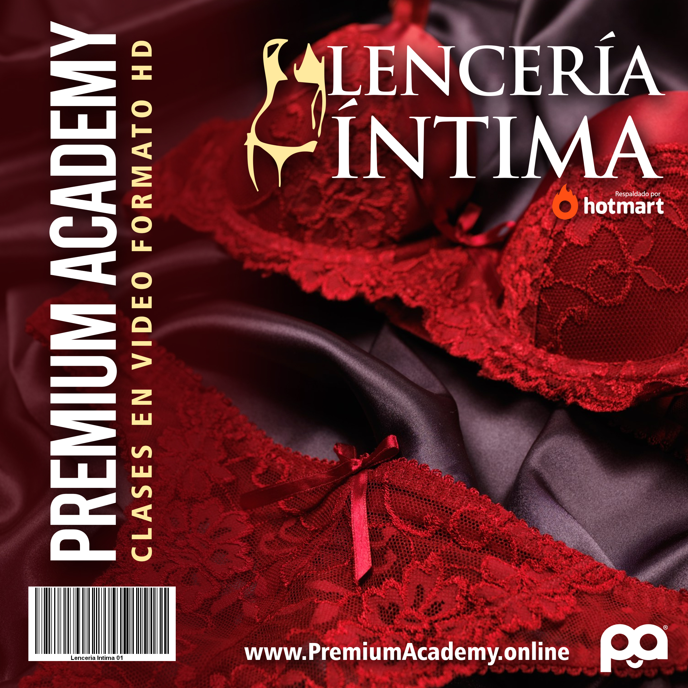 LENCERIA INTIMA CURSO